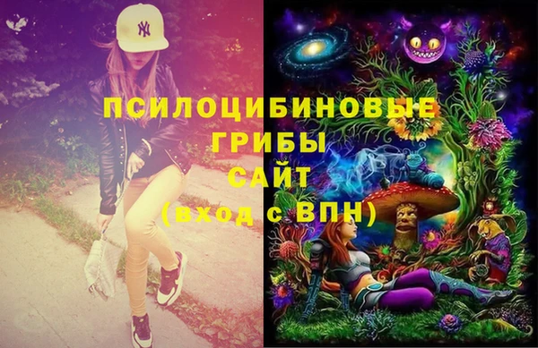 прущая мука Алзамай