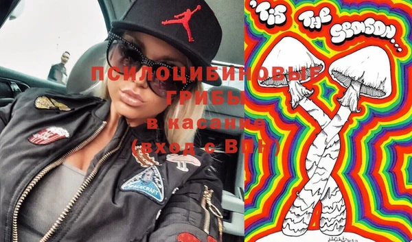 прущая мука Алзамай