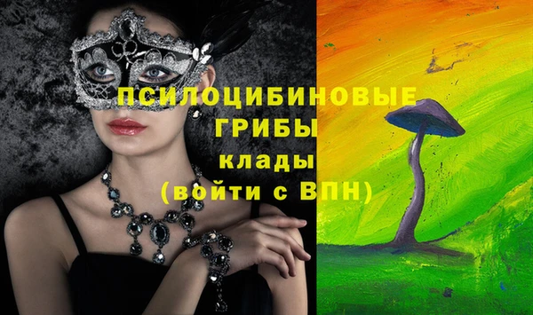 стафф Алексин
